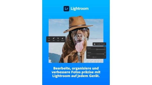 Adobe Creative Cloud Pro (alle Anwendungen) | Abonnement | 1 Jahr | 100 GB Cloud