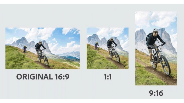 Adobe Premiere Elements 2025 for Windows & MacOS