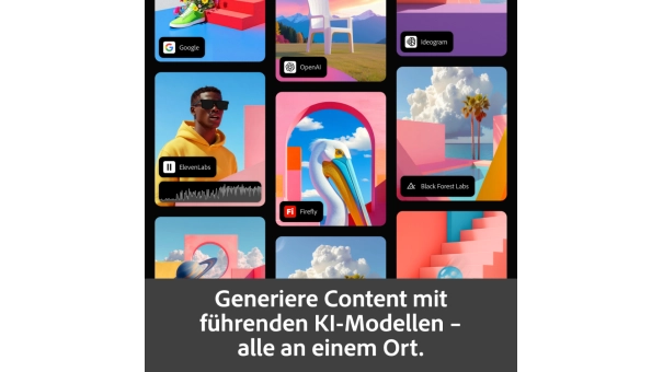 Adobe Firefly Standard | 1 Jahr | 2000 KI-Credits pro Monat