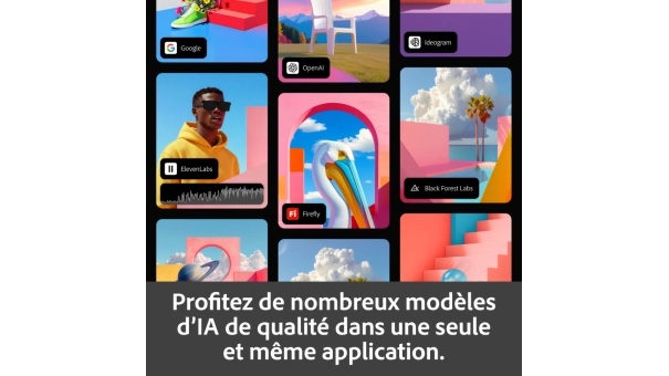 Adobe Firefly Standard | 1 an | 2000 crédits IA par mois