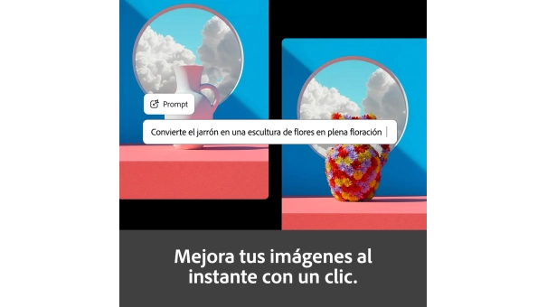 Adobe Firefly Standard | 1 año | 2000 créditos de IA al mes