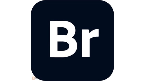 Adobe Creative Cloud Pro (all apps) | Subscription | 1 Year | 100 GB Cloud